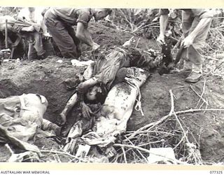 TOROKINA AREA, BOUGAINVILLE ISLAND. 1944-11-29. SX33273 CORPORAL D. STUART AND VX66846 CORPORAL R.J. CHAMBERS, OF THE 3RD DIVISION FIELD SECURITY SECTION, EXAMINING THE BODIES OF JAPANESE FOR ..