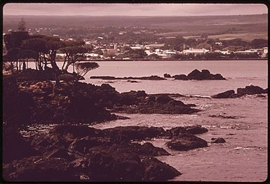 SHORELINE SCENE IN THE HILO AREA