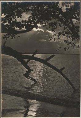 Scenes around Cape Nelson, [2] Frank Hurley