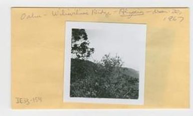 [Alyosia in Hawaii, envelope IE33-154]