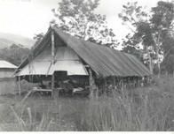 Ninth General Hospital. World War II. Goodenough, New Guinea.