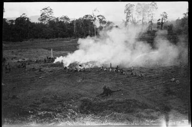 Line of people working in a burning field, New Guinea, ca. 1929 / Sarah Chinnery