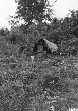 trees, yamslada, yamslada, barn, building, forest, photography,