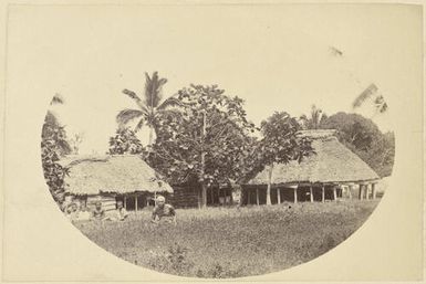 Houses and Fijians