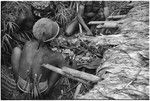 Pig festival, stake-planting, Tuguma: men butcher small pig for ritual meal