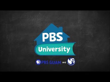 PBS University First - Second Grade Week 12