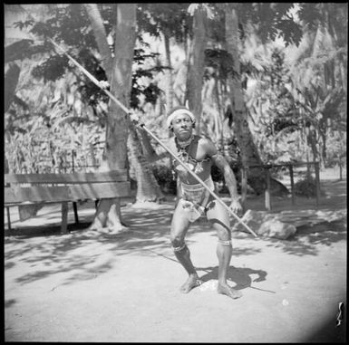 Barong, chief and Luluai of Awar village in a snake and spear dance pose, Awar, Sepik River, New Guinea, 1935, 3 / Sarah Chinnery