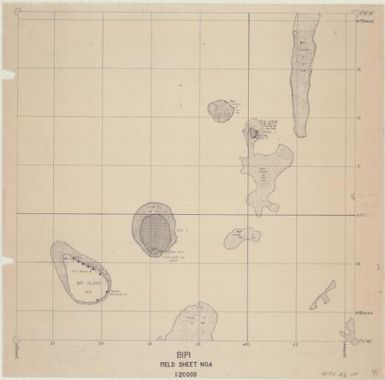 [Admiralty Islands 1:20,000 field sheet] (Bipi field sheet 4)