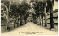 26. - Tahiti. - Papeete. - Avenue du Petit ThouarsDu Petit-Thouars