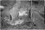 Gardening: women clear a garden plot with slash-and-burn technique