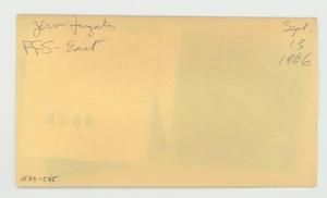 [Juvenile frigate in Hawaii, envelope IE30-045]