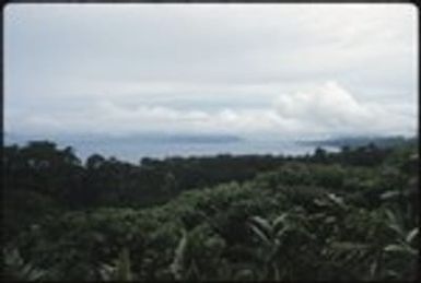 Aerial view of island