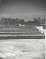 Ninth General Hospital. World War II. Biak Island.