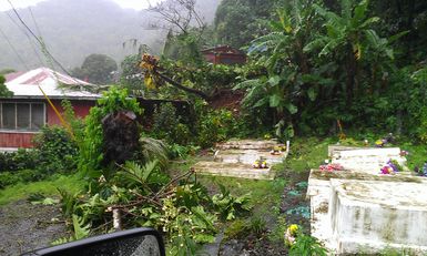 Trees and debris landslide into house and backyard in American Samoa in 2014.