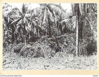 MADANG, NEW GUINEA. 1944-10. THE DAMAGE FROM THE SECOND ROUND OF A 95MM FIRED AGAINST NO. 2 BUNKER DURING PENETRATION TESTS CONDUCTED AT HQ 4 ARMOURED BRIGADE