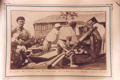 Milling arrowroot into flour, undated