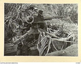 1943-01-14. PAPUA. BUNA. CAPTURED JAPANESE POM POM ON THE BUNA STRIP. (NEGATIVE BY BOTTOMLEY)
