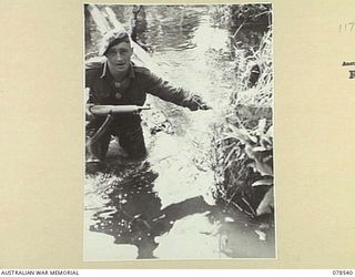 BOUGAINVILLE ISLAND, 1945-01-21. VX145882 PRIVATE K.T. LAVELLE, "D" COMPANY, 42ND INFANTRY BATTALION HAULING HIMSELF OUT OF THE SWAMP AFTER FALLING OFF A LOG WHICH THE PATROL WAS USING AS A BRIDGE ..