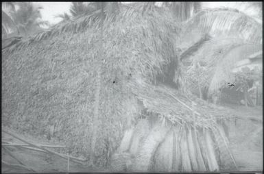 Houses (7) : Maprik, Papua New Guinea,1959 / Terence and Margaret Spencer