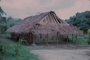 [Thatch-roofed building at Espiritu Santo, Vanuatu]