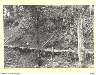 YAULA, NEW GUINEA. 1944-04-10. REVETMENTS OF LOGS CONSTRUCTED BY THE JAPANESE TO PREVENT LANDSLIDES DESTROYING THE MOTOR ROAD THEY HAD BUILT FROM BOGADJIM TO DAUMOINA. THE AREA HAS BEEN CAPTURED BY ..