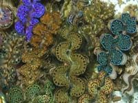 Patterns in Undersea Nature 02