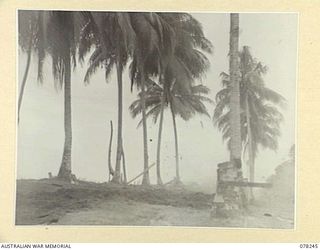 DANMAP RIVER, NEW GUINEA. 1945-01-05. COCONUT PALMS TOPPLING AS THE CHARGE AT THEIR BASE EXPLODE DURING THE OPERATIONS BY TROOPS OF THE 2/2ND FIELD COMPANY, WHILE WIDENING THE LINES OF ..