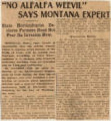 "No Alfalfa Weevil" Says Montana Expert. Northwest History. Box 3. Farms and Farming. Menace&Pests. United States.