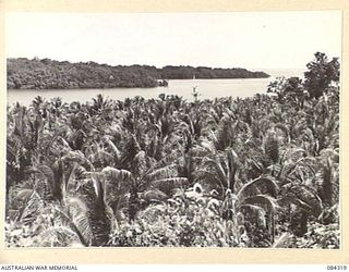 CUTARP PLANTATION, JACQUINOT BAY, NEW BRITAIN. 1944-12-15. THE VIEW LOOKING FROM CUTARP PLANTATION IN A SOUTH EASTERLY DIRECTION TOWARDS JACQUINOT BAY