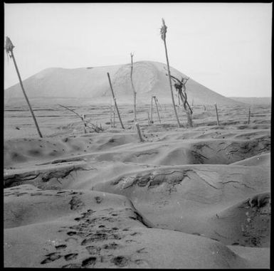 Bare tree trunks, ash and pumice and a crater in the side of a mountain, Rabaul, New Guinea, 1937 / Sarah Chinnery