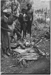 Pig festival, wig ritual, Tsembaga: pandanus fruit (r) and pitpit, food for men undergoing construction of red wigs