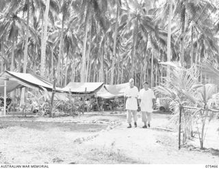 MILILAT, NEW GUINEA. 1944-08-23. THE SURGERY, LABORATORY AND TENT LINES OF THE 77TH DENTAL UNIT. SEEN ARE:- NX77285 CAPTAIN J.H. PALMER (1); NX111932 MAJOR R. MOORE (2)