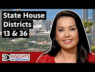 State House Districts 13 & 36 | INSIGHTS ON PBS HAWAIʻI