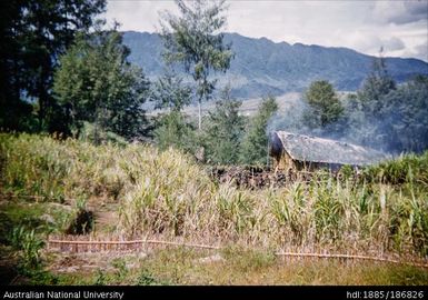 View of long house and mountain