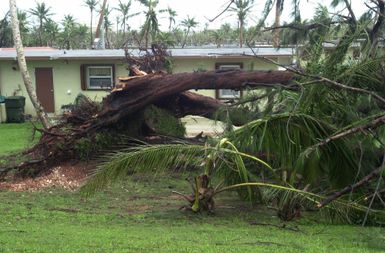 Uprooted trees lay in ruins in the base housing area after the super-typhoon Pongsona passed through on Sunday December 8th at Andersen Air Force Base (AFB), Guam