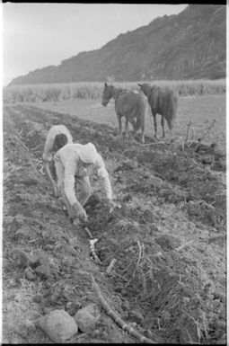 Fieldwork in Fiji