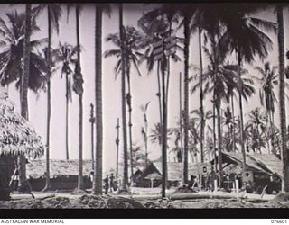 MADANG, NEW GUINEA. 1944-10-18. THE 5TH DIVISION RECEPTION CAMP SET AMONG THE COCONUT PALMS