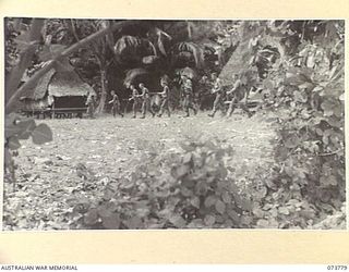 KARKAR ISLAND, NEW GUINEA. 1944-06-02. MEMBERS FROM A PLATOON, 37/52ND INFANTRY BATTALION APPROACH A NATIVE VILLAGE DURING A PATROL