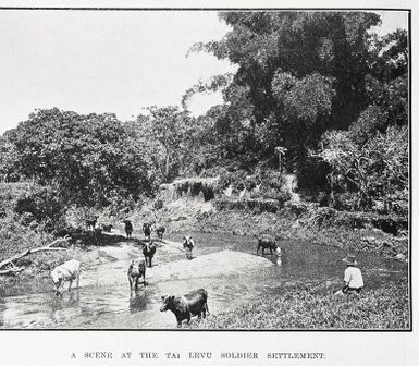 A scene at the Tai Levu soldier settlement