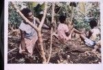 Tuber hunting Nevinbong, Vinmari and Jill