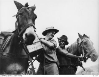 Wau-Mubo Area. This Transport Unit carries stores to men at forward areas over some of the roughest country in New Guinea. Identified are: VX4520 Corporal Keith John Corrin, of Tyabb, Vic, with ..