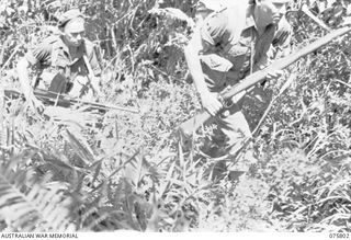 SIAR-NAGADA, NEW GUINEA. 1944. A PATROL FROM A COMPANY, 61ST INFANTRY BATTALION "THE QUEENSLAND CAMERON HIGHLANDERS", LEAVE THEIR CAMP AT NOBINOB AS THEY COMMENCE A 9 DAY PATROL THROUGH THE JUNGLE. ..