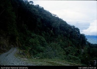 Road along the side of the mountain