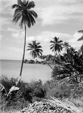 [Coastal landscape]