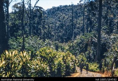 Okapa road - 6 miles to Okapa