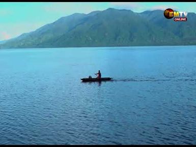 GREEN FEE COLLECTION