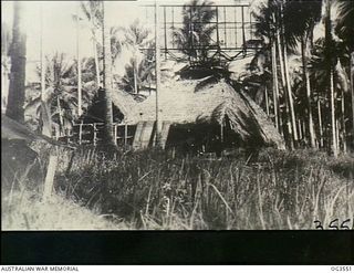 MILNE BAY, PAPUA NEW GUINEA. C. 1943. A RAAF RADAR STATION HIDDEN IN A COCONUT PLANTATION AND CAMOUFLAGED MADE TO LOOK LIKE A NATIVE HUT