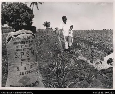 Farmer spreading Ammonium Sulphate