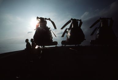 Members of the 22nd Marine Expeditionary Unit run past Marine Medium Helicopter Squadron 261 (HMM-261) CH-46E Sea Knight helicopters secured on the bow of the amphibious assault ship USS GUAM (LPH-9) during morning physical training (PT)