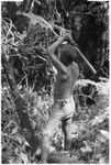 Ngadaaba'e, 'Elota's younger son, working in garden